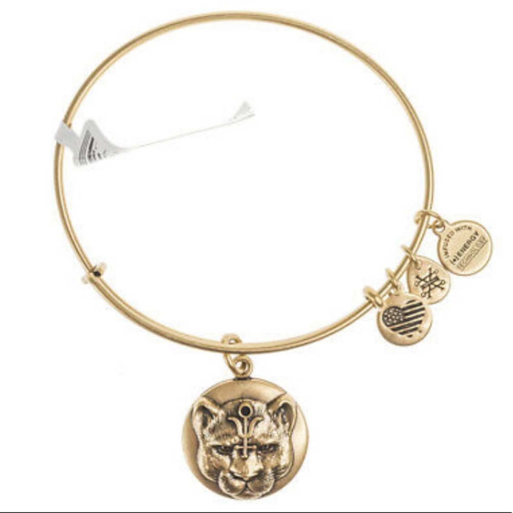 **ALEX AND ANI POWER NIGHT BRACELET***